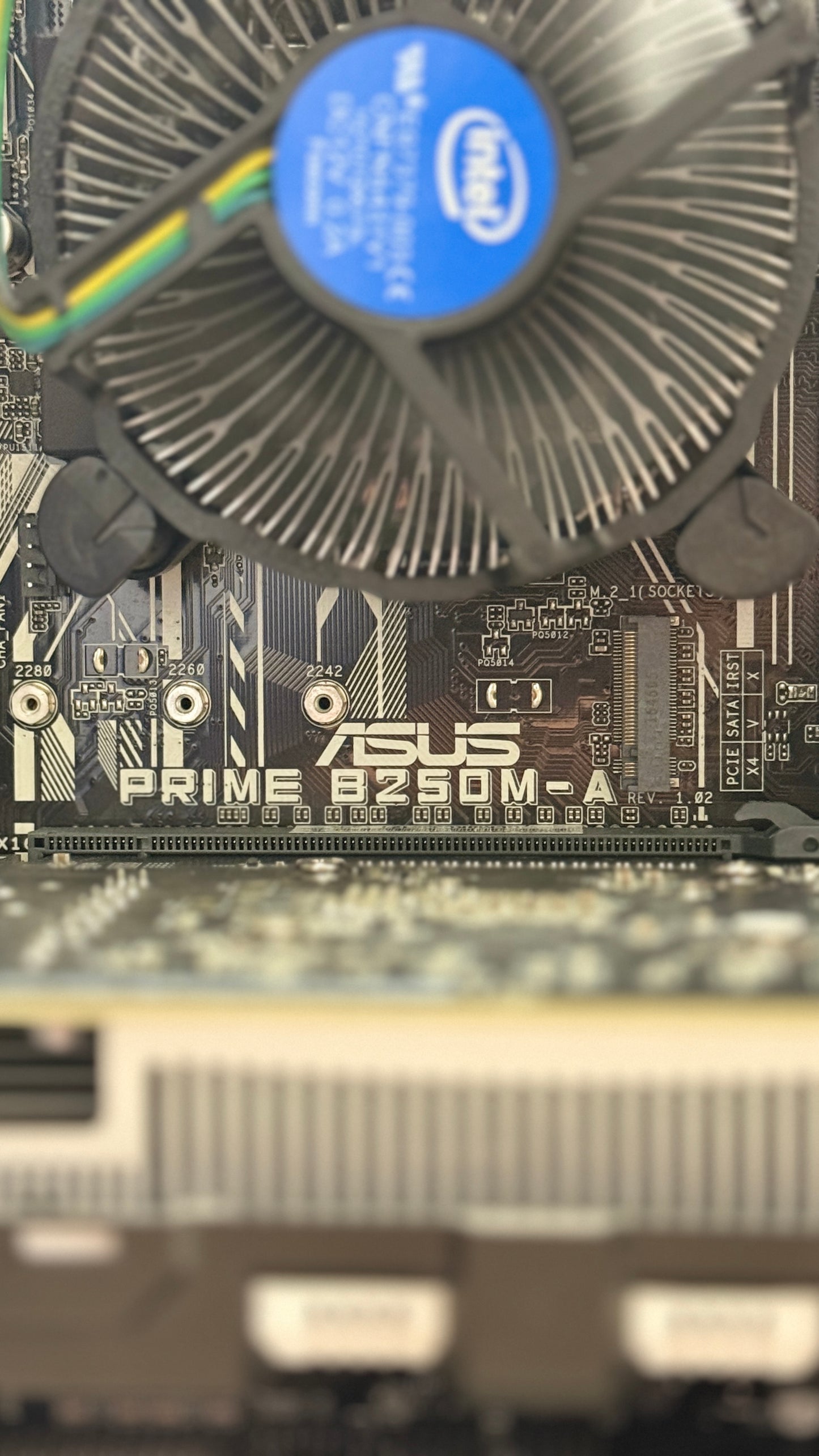 Fair SREDA #2 - I3 6100 & GTX 1050 TI